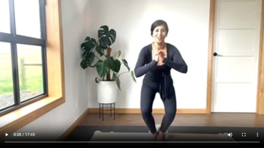 Mini legs Zen Wellness Pilates Studio online workouts videos